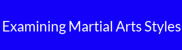 Examining Martial Arts Styles